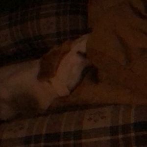 Meet your Posher, Jared